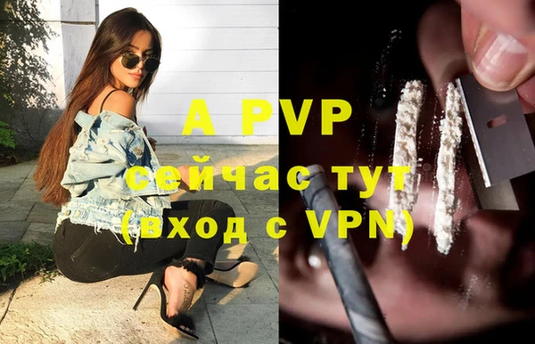 ECSTASY Нефтекумск
