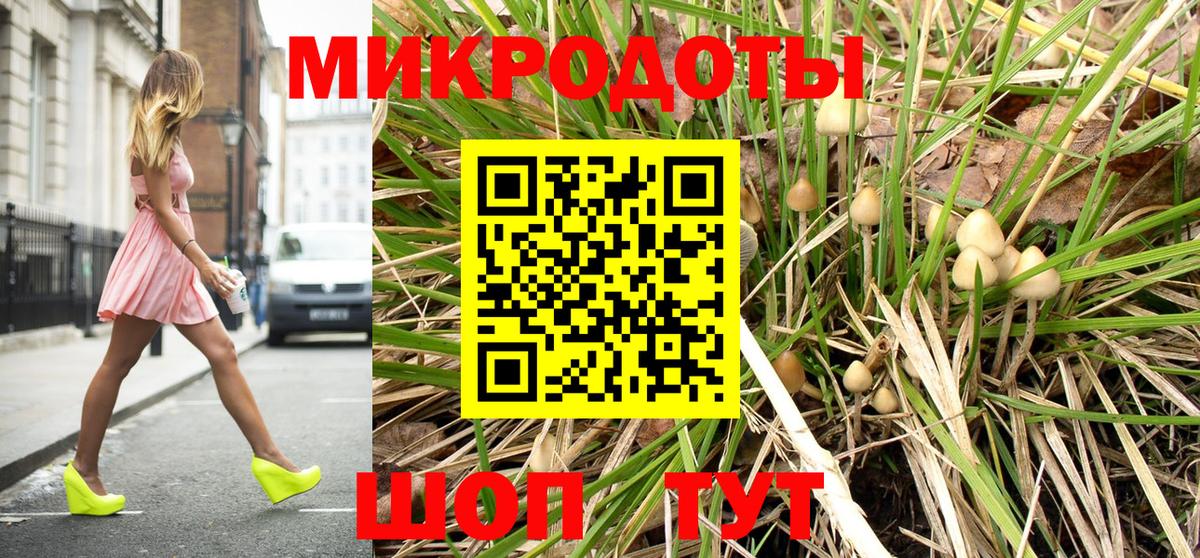 Псилоцибиновые грибы Psilocybine cubensis Тверь