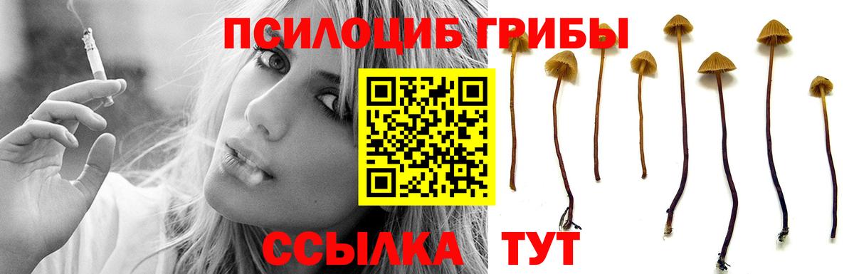 Тверь  Псилоцибиновые грибы GOLDEN TEACHER  Вход с VPN 