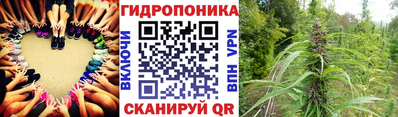Купить закладки  Тверь  Бошки Шишки тримм 