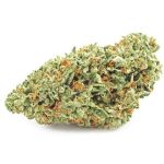 Шишки OG Kush  (Гидропоника, бошки) VHQ в Твери